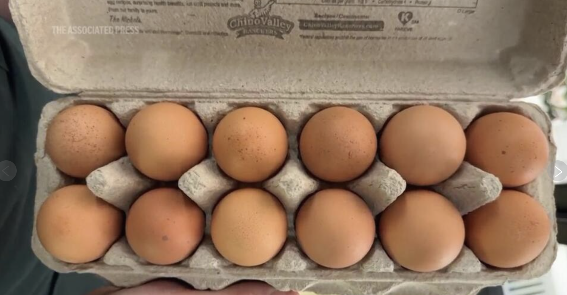 美国闹蛋荒！鸡蛋价格飙升至历史新高！专家警告：未来还会继续涨！